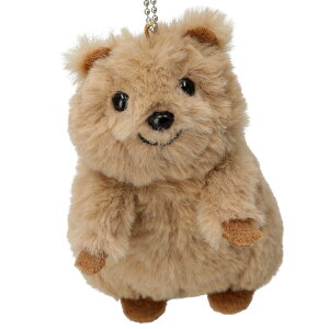 `[ NIbJ@jg y֐斘[iz fRz[