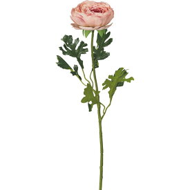 楽天市場 ニトリ 種類 植物 ラナンキュラス 花 ガーデン Diy の通販