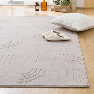 ӂӂŏ_炩Ȕ̃O(FR01)y֐斘[iz jg