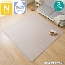 洗える!10mmウレタン入り吸湿発熱+蓄熱+保湿ラグ (Nウォーム ライトモカ gDA1) デコホーム【玄関先迄納品】 ニトリ