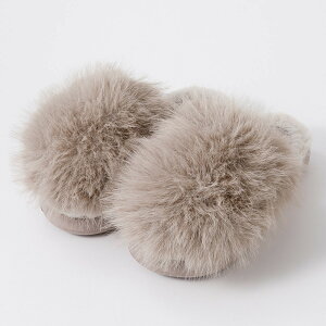 Xbp(EVAOngSRk2a O[ M) fRz[y֐斘[iz jg