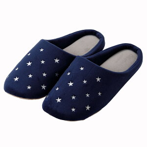 [V[Y(X^[ L lCr[ ngRSx1a)y֐斘[iz jg fRz[