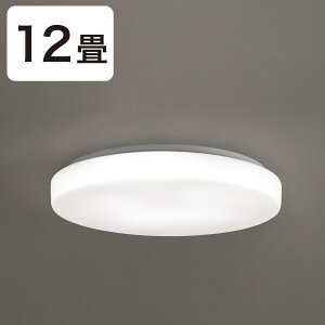 LEDV[OCg (CI01)y֐斘[iz jg