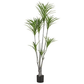 楽天市場 人工観葉植物 ニトリの通販
