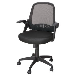 ItBX`FA (LDL-919 It) jg y֐斘[iz