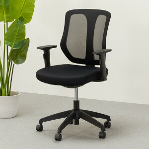 [62cm]ItBX`FA (K6 It GR) jg y֐斘[iz