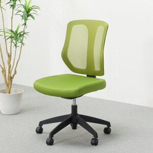 [62cm]ItBX`FA (K6 GR) jg y֐斘[iz