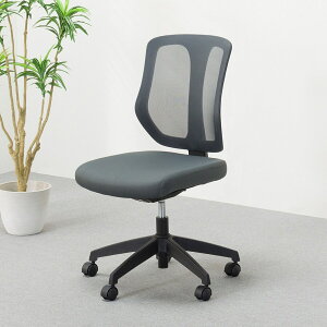 [62cm]ItBX`FA (K6 GR) jg y֐斘[iz