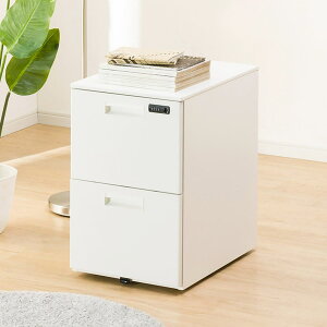 [39.5cm]S (HD-2 2i_C WH) jg y֐斘[iz