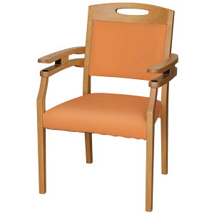 [57.5cm]ؐ`FA (PCv2DA M _uA[ LBR) jg y֐斘[iz