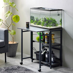 ɂȂ鑽ړII (60cm IW _[NO[)y[J[Ezjg