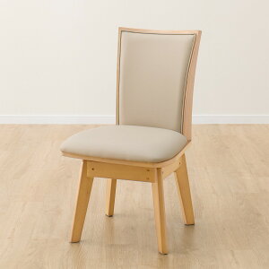 [48.1cm] _CjO`FA (]LG-010) jg y֐斘[iz y5Nۏ؁z