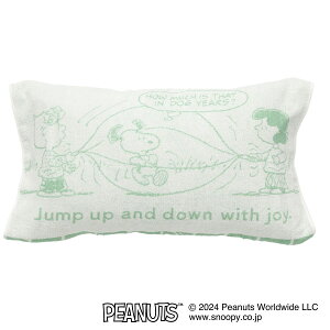 ̂т̂іJo[ WJigrBR Xk[s[@jg y֐斘[iz fRz[