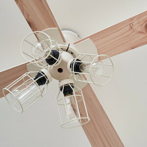 Be[WX^C̃V[Ot@ 4y[J[Ez jg