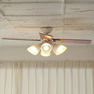 VvfUC̃V[Ot@y[J[Ez jg