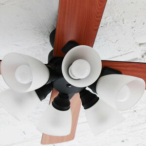 VvfUC̃V[Ot@y[J[Ez jg