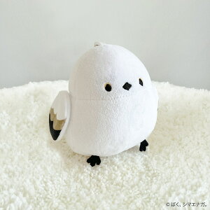 ڂAV}GiKB }XRbgL[z_[@jg y֐斘[iz