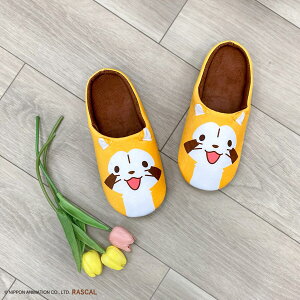 XJ@[V[YtFCX@jg y֐斘[iz