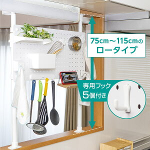 yȒPz^b` ˂p[e[V([^Cv)@jg@[J[E