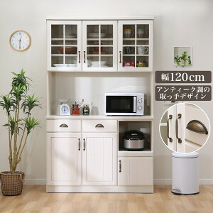 [120cm] Lb`{[h (~_2 120 WW) jg yzݒuiz y5Nۏ؁z