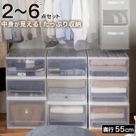 【期間限定価格：9/28まで】 クローゼットケース セレスFD　ニトリ