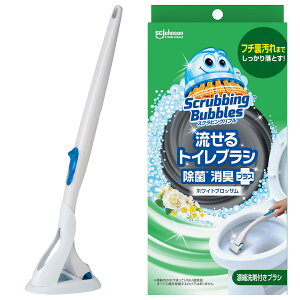 gCuV ۏLvX (XNrOou uV ubT)@jg y֐斘[iz