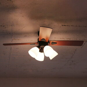 VvfUC̃V[Ot@(ubN)@jg y[J[Ez