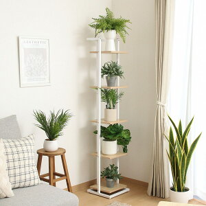 fBXvCX^h X@jg y[J[Ez