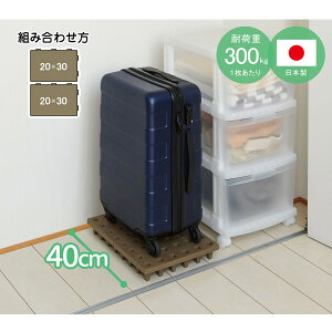 gݍ킹ĎgWCgpbg(20×30cm 2Zbg)@jg y֐斘[iz