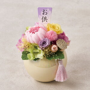 ԃvU[uht[؁@jg y[J[Ez