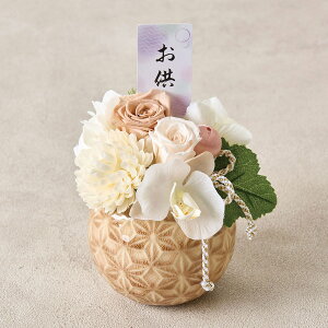 ԃvU[uht[Ǔށ@jg y[J[Ez