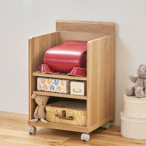 fXNS (40cm NTU)@jg@[J[E