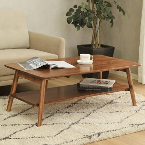 ܋rZ^[e[u 105cm (LS10540 AJVA)@jg@[J[E