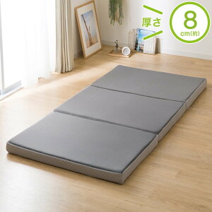 3�w�\�� �v���~�A�t�B�b�g�~�z�c �V���O��(S F2406)�@�j�g�� �y���֐斘�[�i�z