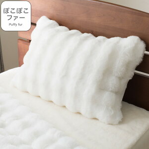 ۂs[pbh(|R|RWH A2521)y֐斘[iz jg