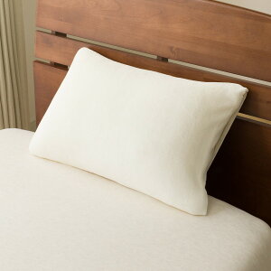 Jo[(RE 25AW05 IV)y֐斘[iz jg