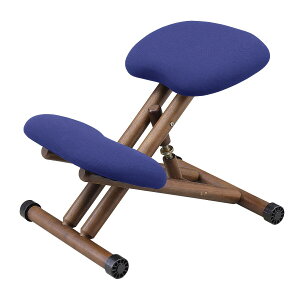 kX^C`FA (NV) jg y֐斘[iz ynƍՊԌ艿iF1/5܂Łz