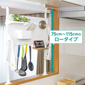 yȒPz^b` ˂p[e[V([^Cv)@jg@[J[E