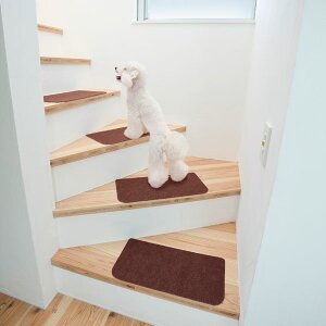 Kipz}bg 􂦂ICɂȂ鑫΍ x[W uE 15 ׂ~ Ki}bg y Ki}bg jg y֐斘[iz