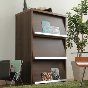 tbv`FXg 60cm tbvhA2E3@jg@[J[E