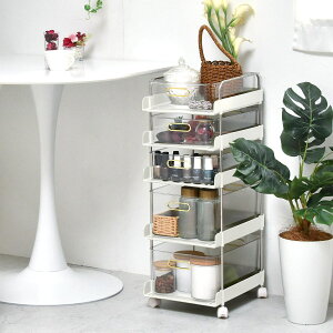 XSi5i zCgj jg@[J[E ynƍՊԌ艿iF1/5܂Łz