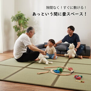 9ʘAC jg@[J[E ynƍՊԌ艿iF1/5܂Łz