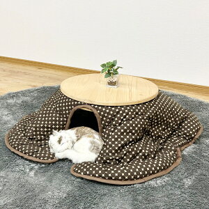 YqmLgpq[^[ȂlR񂱂 jg@[J[E