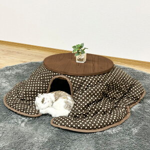 YqmLgpq[^[ȂlR񂱂 jg@[J[E