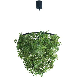 CL20 y_gv@jg y֐斘[iz