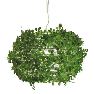 CL21 y_gv@jg y֐斘[iz