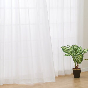 �ՔM�E�~���[���[�X�J�[�e���iDH77�j�@�j�g�� �y���֐斘�[�i�z �f�R�z�[��