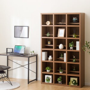 [107.6cm] I[v{I (108 BS005) jg yzݒuiz y5Nۏ؁z