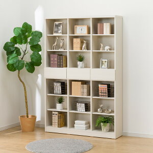 I[v{I(BS008)@jg yzݒuiz zCgEHbV ~huE 80cm 120cm