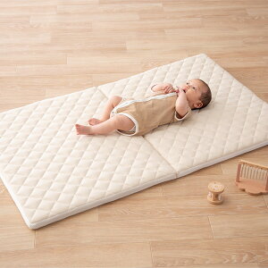 �ې􂢂ł��鍂�ʋC�x�r�[�~�z�c(CW01)�y���֐斘�[�i�z �j�g�� �y�n�ƍՊ��Ԍ��艿�i�F1/5�܂Łz